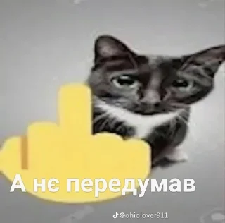 🖕 emoji ❤️Котеечки-Ван-Лав❤️ Telegram sticker 18 of 47