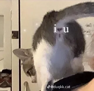 ❤️ emoji ❤️Котеечки-Ван-Лав❤️ Telegram sticker 7 of 47