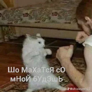 😡 emoji ❤️Котеечки-Ван-Лав❤️ Telegram sticker 22 of 47