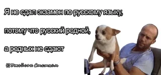 🌟 emoji Стетхем @Lolofix2001 Telegram sticker 20 of 120