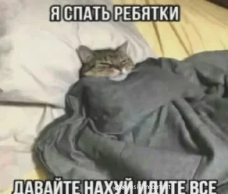 🤩 emoji Супер мега набор @LogovoFoxa Telegram sticker 7 of 120
