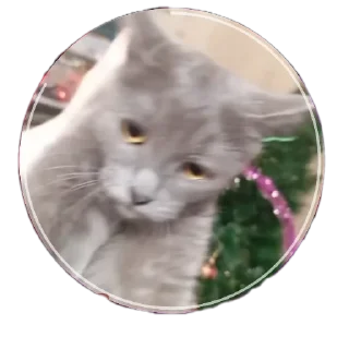🌟 emoji 50 оттенков пиздеца:: @fStikBo Telegram sticker 3 of 120