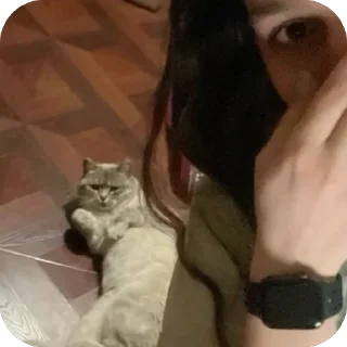 🐱 emoji Arrnik Telegram sticker 16 of 45