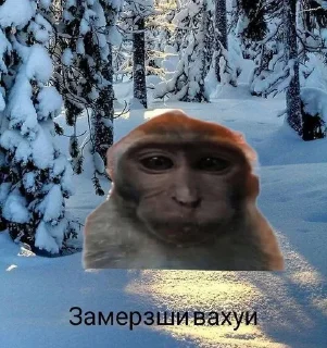 Sticker from даргинский мат