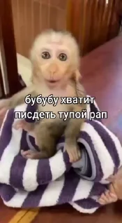 😑 emoji Брад бибизяна              @stickers_grenka Telegram sticker 17 of 27