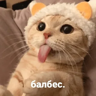 😝 emoji муркотики // t Telegram sticker 9 of 118