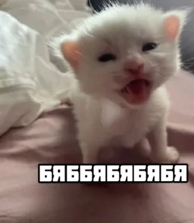 🌟 emoji Motorola Ednifisent Telegram sticker 23 of 66