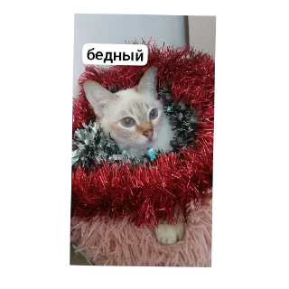 🐱 emoji ы Telegram sticker 9 of 10