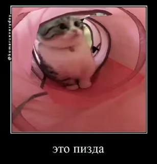 🌟 emoji ы Telegram sticker 2 of 10