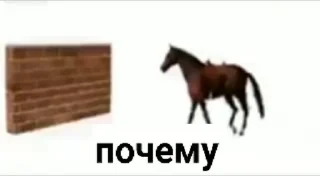🐴 emoji sasalot Telegram sticker 8 of 34
