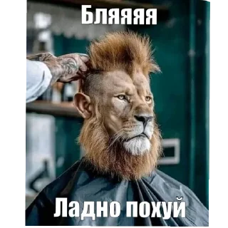 💇 emoji sasalot Telegram sticker 19 of 34