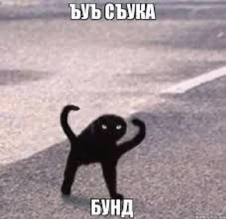 😡 emoji Бунт блять Telegram sticker 6 of 12