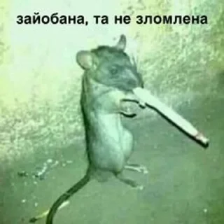😌 emoji Юкрейніан стікери🥰🥵 Telegram sticker 18 of 45