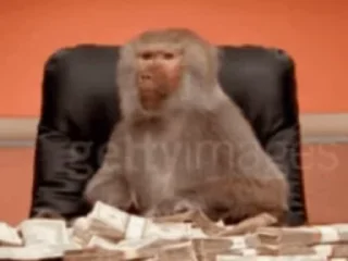 💸 emoji Пупузьяны и цыганские фокусы п Telegram sticker 5 of 7