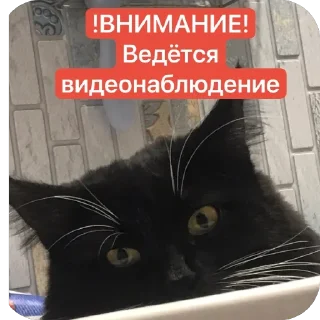 🫥 emoji Eblanchik Telegram sticker 7 of 27