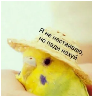 🙂 emoji Моя твоя не понимать Telegram sticker 23 of 73