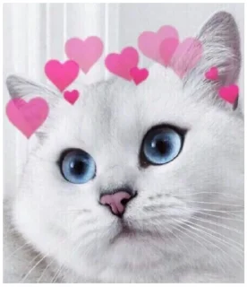 Sticker from Моя твоя не понимать