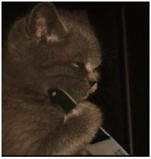 🔪 emoji Моя твоя не понимать Telegram sticker 18 of 73