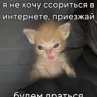 🌟 emoji Сайкины смеяки Telegram sticker 24 of 120