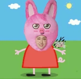 🐷 emoji чанбин зе бест Telegram sticker 23 of 42