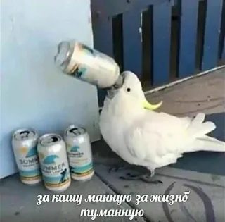 Sticker from Попуги