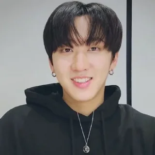 🪶 emoji :: ¡changbin! Telegram sticker 14 of 50