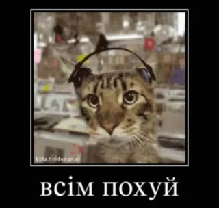 😒 emoji Українські котики @k_ua_s Telegram sticker 10 of 79