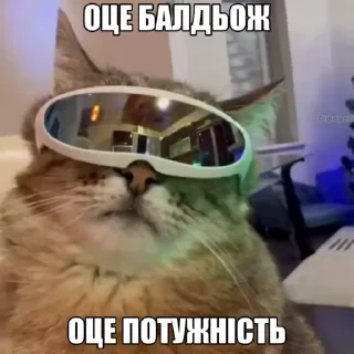 😎 emoji Українські котики @k_ua_s Telegram sticker 9 of 79