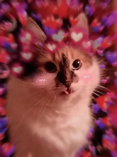 ❤ emoji Ти МурБлять! @Jesus_condemns Telegram sticker 18 of 55