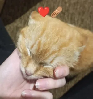 ❤ emoji Ти МурБлять! @Jesus_condemns Telegram sticker 12 of 55