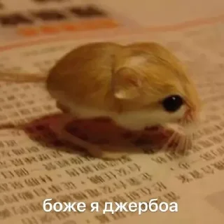 😭 emoji я тебя люблю Telegram sticker 23 of 34