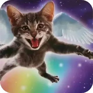 🐱 emoji Мимими!!! Telegram sticker 22 of 37