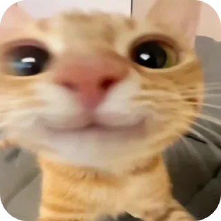 🤲 emoji Мимими!!! Telegram sticker 14 of 37