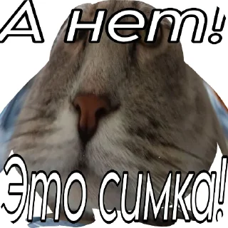 🖼 emoji NastyaKrasoto4kaRealno Telegram sticker 23 of 33