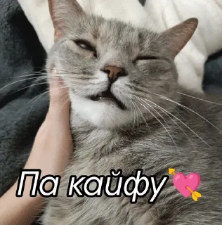 😷 emoji NastyaKrasoto4kaRealno Telegram sticker 14 of 33