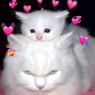 💕 emoji Пирожковоя Telegram sticker 8 of 70