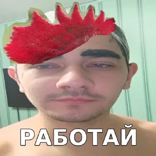🐔 emoji Чиза Telegram sticker 17 of 47