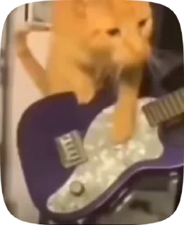 🎸 emoji Kittyy Telegram sticker 22 of 46