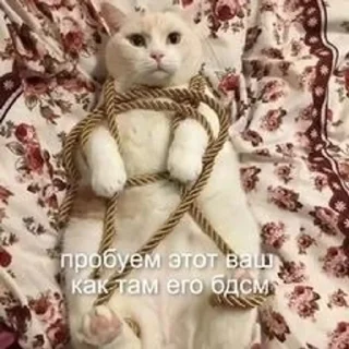 Sticker from пиздец