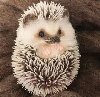 🌟 emoji ёжикиии🦔 Telegram sticker 18 of 32