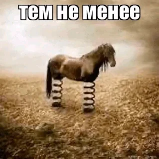 🤯 emoji крутое мыло для белья Telegram sticker 6 of 104