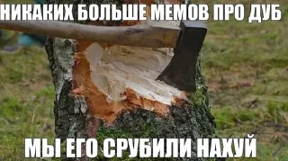 🌳 emoji кирилл топ Telegram sticker 19 of 31