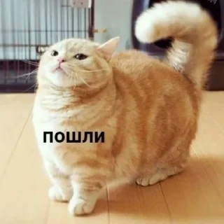 😋 emoji Стикер пак #2 @akv_5 Telegram sticker 21 of 35