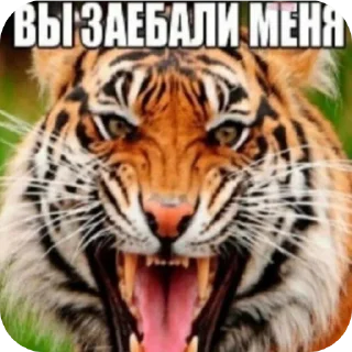 Sticker from Случайно сгенерированное имя