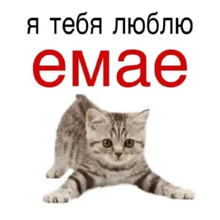 👍 emoji ❦ Telegram sticker 14 of 24