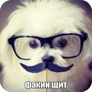 👓 emoji vaib1 Telegram sticker 23 of 32