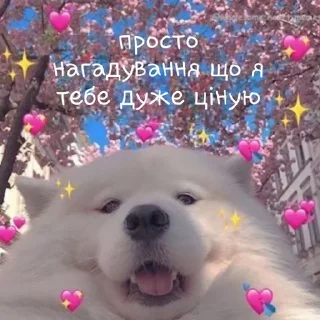 💞 emoji Любов для мого серденька Telegram sticker 14 of 64