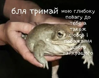 Sticker from Любов для мого серденька
