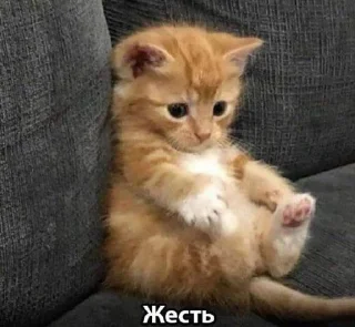 Sticker from bozhe