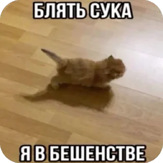 🫥 emoji Хаха Telegram sticker 10 of 55